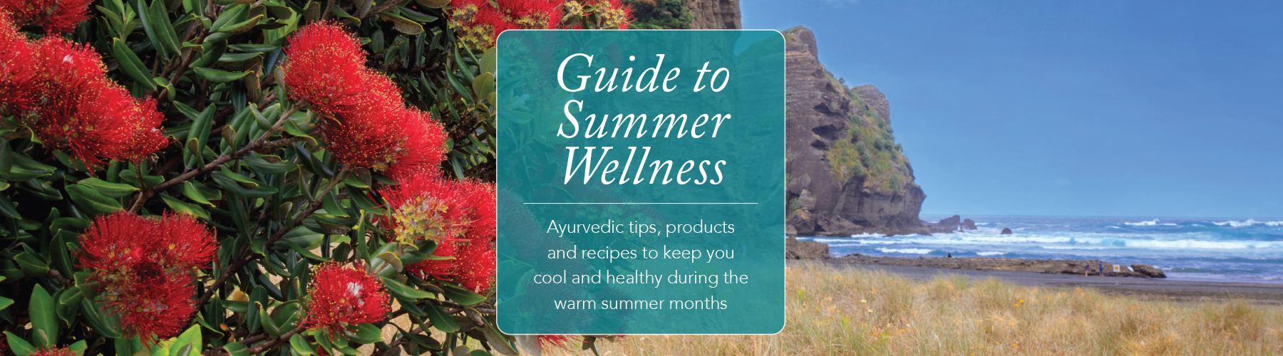 Guide to summer Wellness